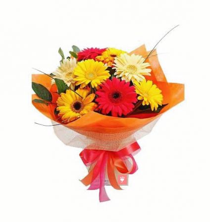 Bunch of mix gerberas