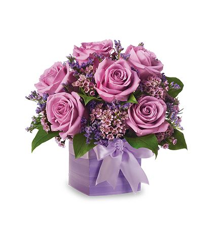 6 Purple rose with vase