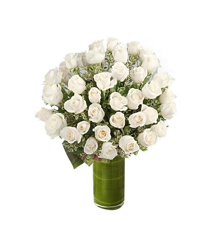 70 white roses with vase