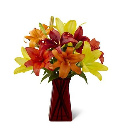 Mixed lilies in vase