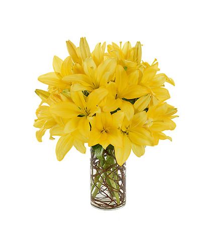 Yellow lilies in Vase