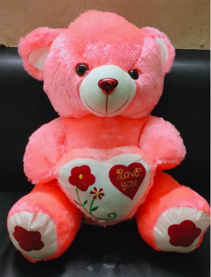 Special Pink Teddy