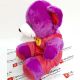 Purple Teddy Bear