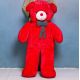 Red Teddy Bear