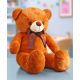 Standing Cute Teddy bear